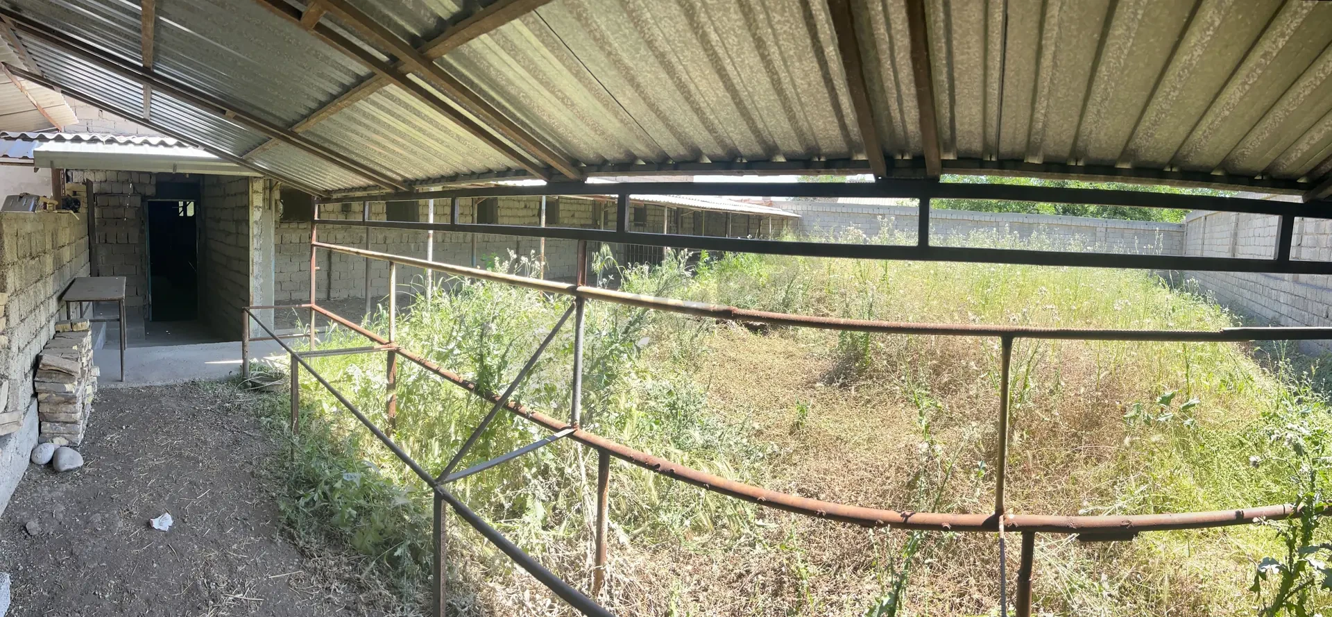 Image 6