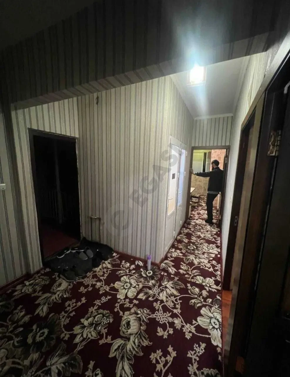 Image 7