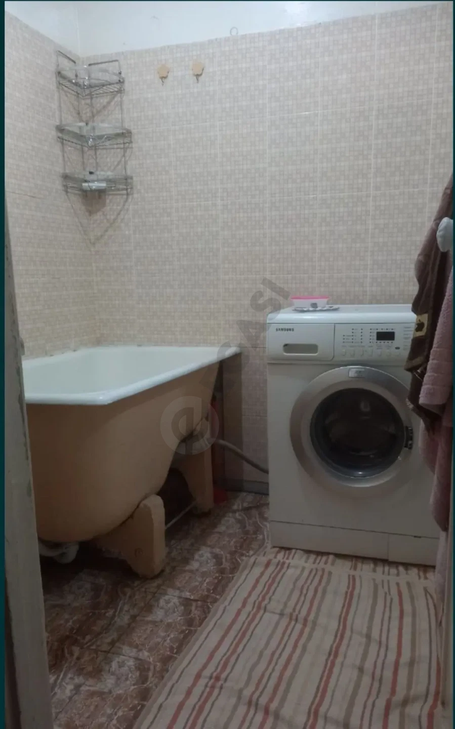 Image 5