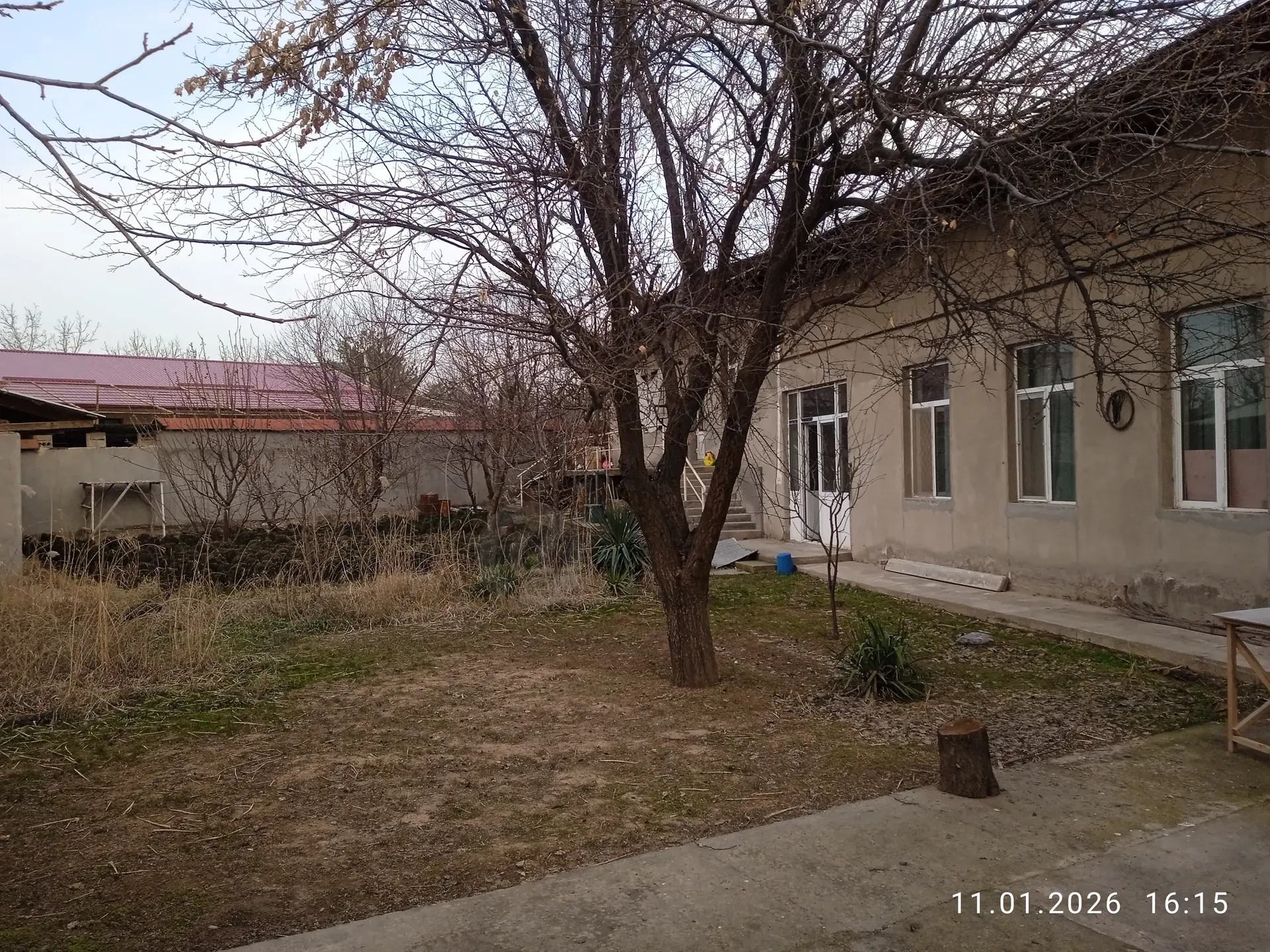 Image 6