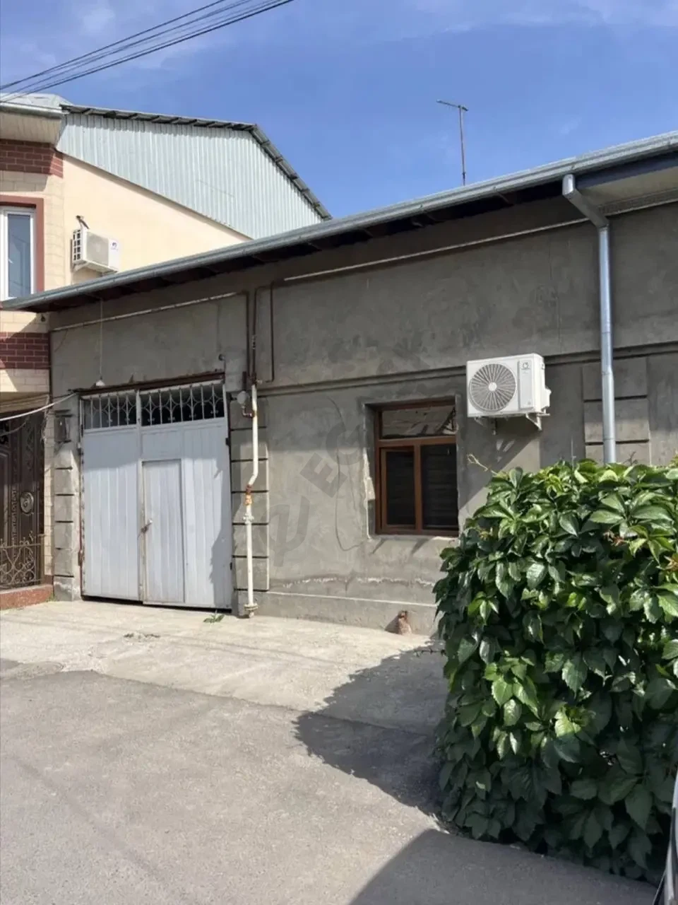 Image 6