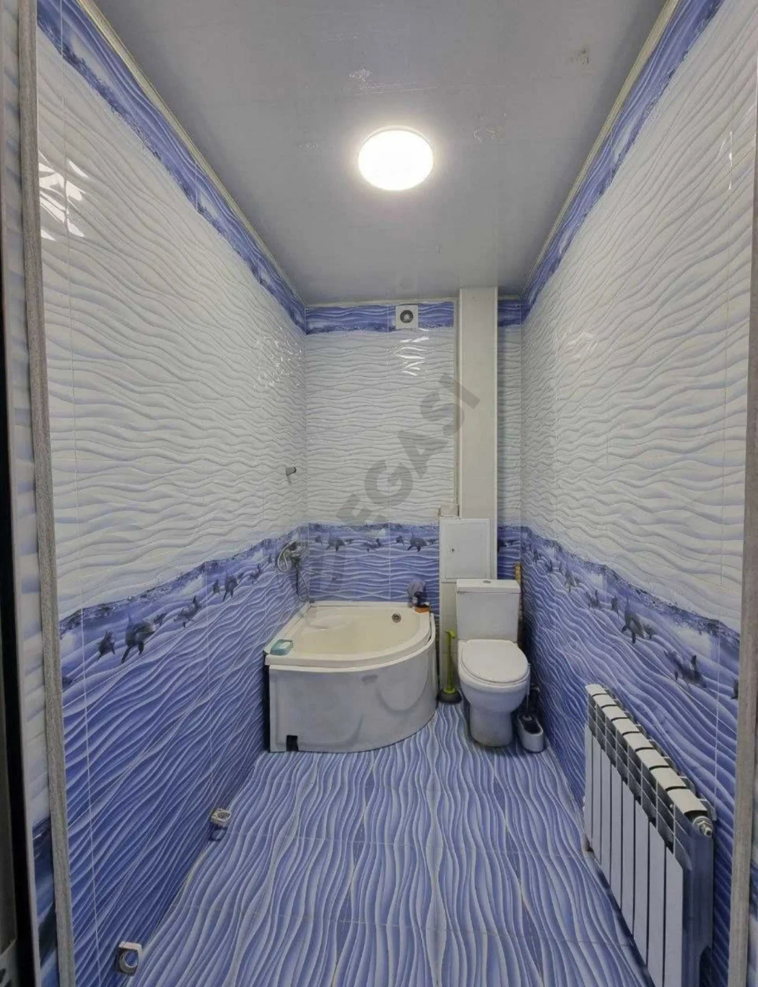 Image 6