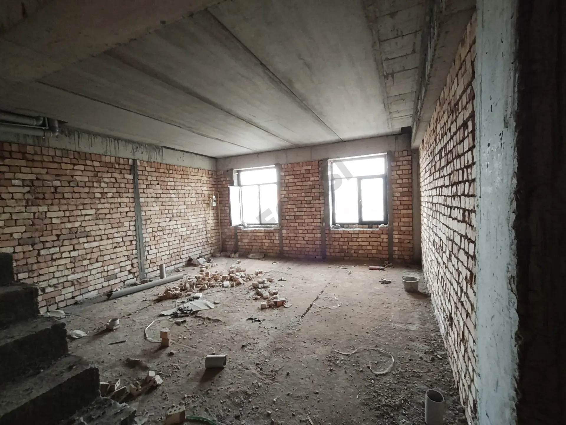 Image 6