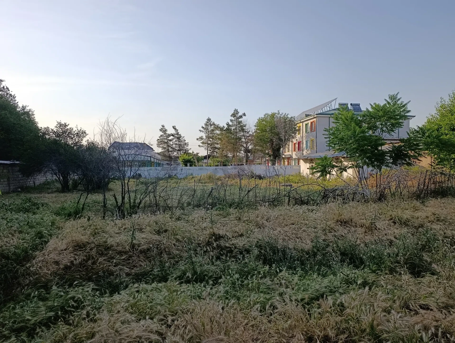 Image 4