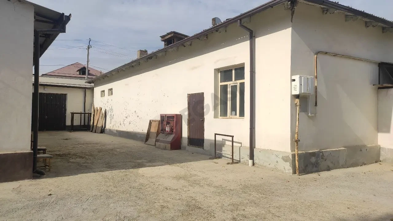 Image 8