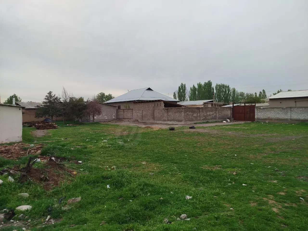 Image 5