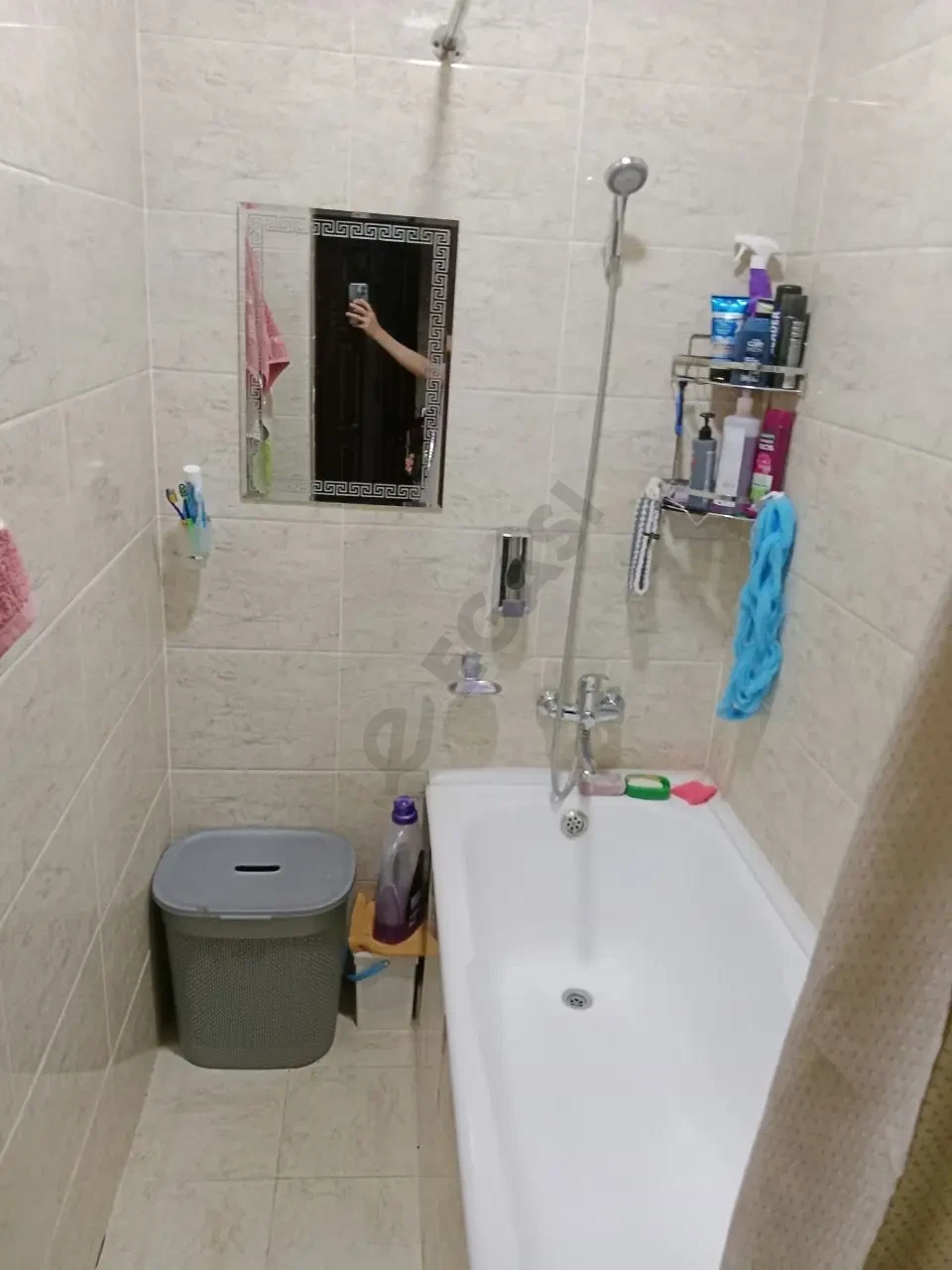 Image 7