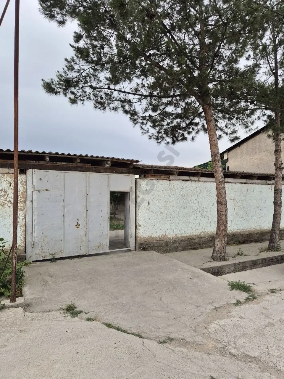 Image 6