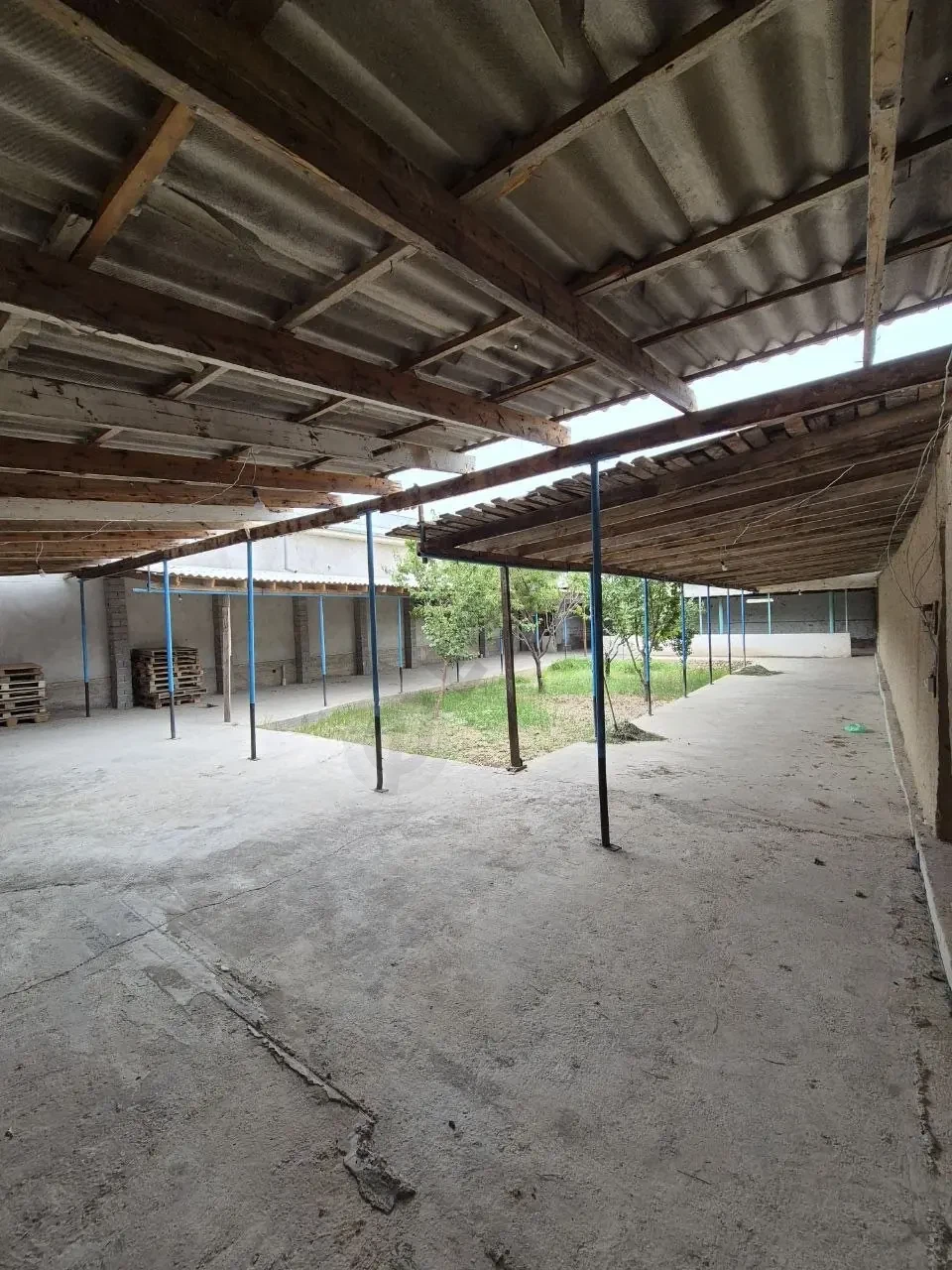 Image 7