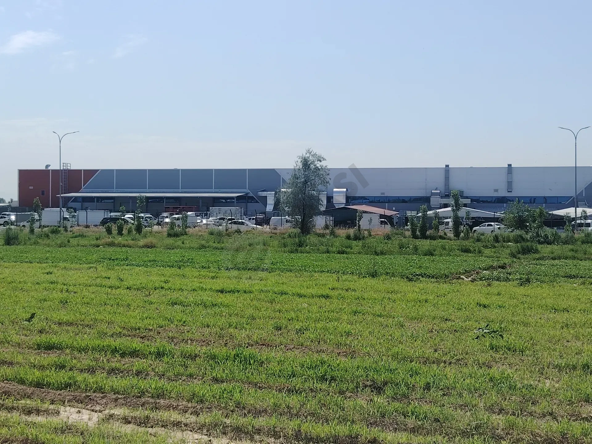 Image 10