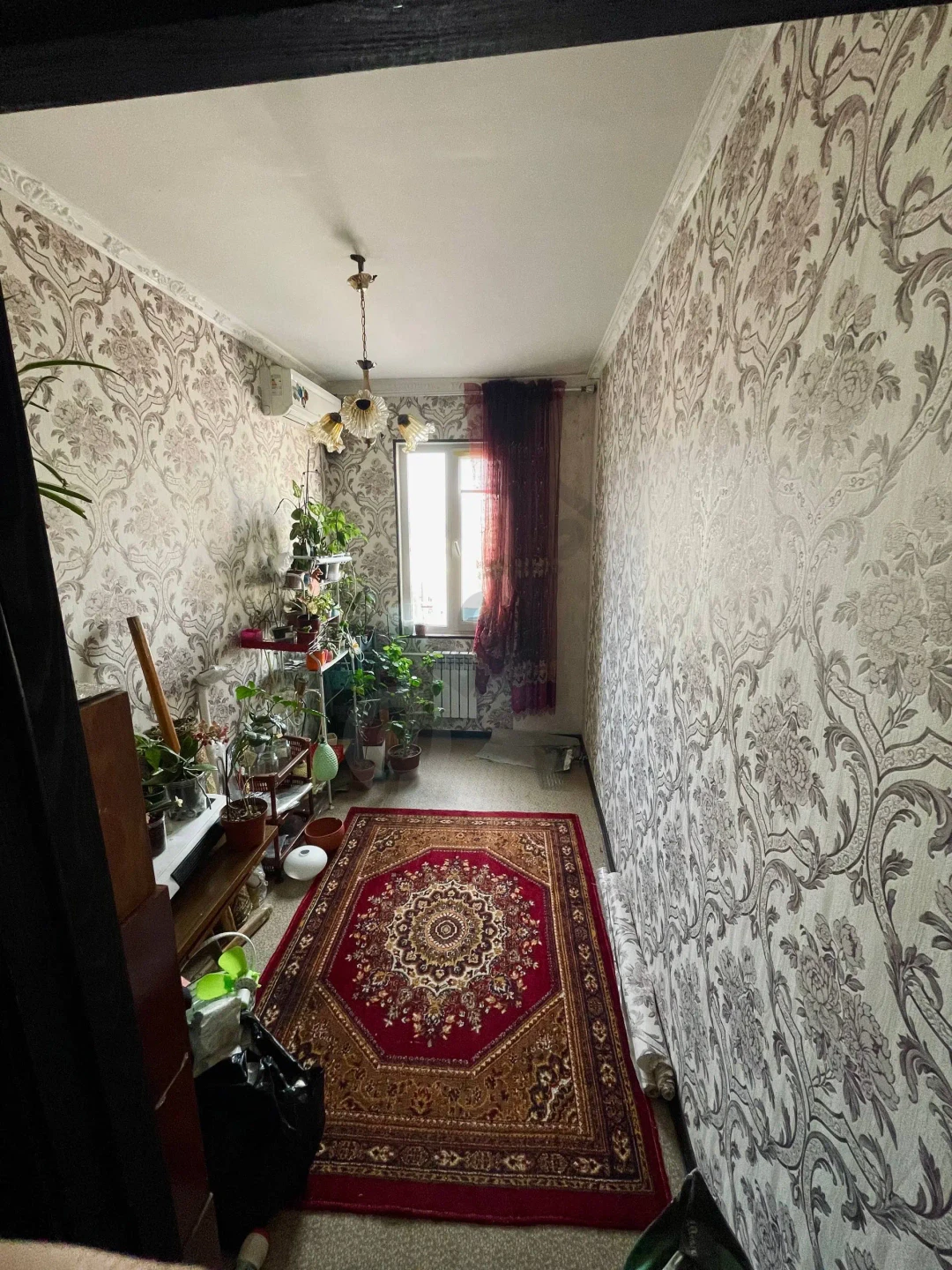 Image 6