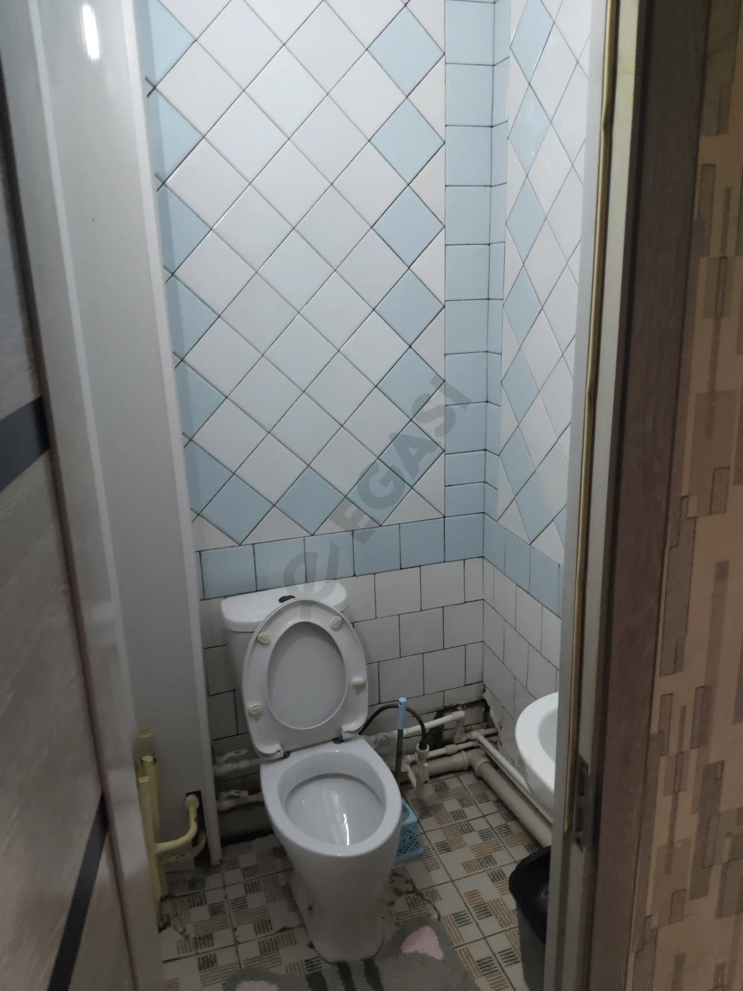 Image 8