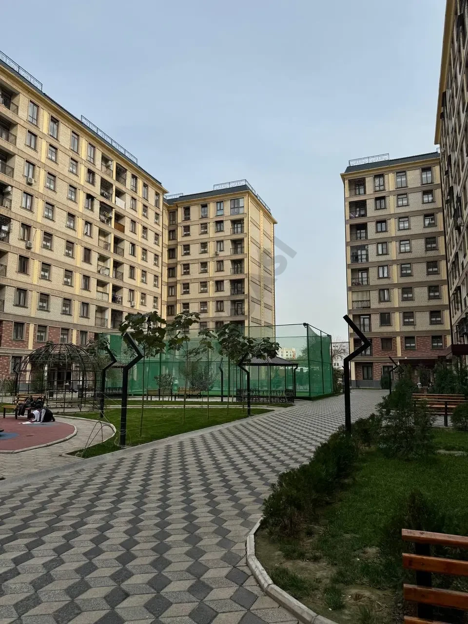 Image 6