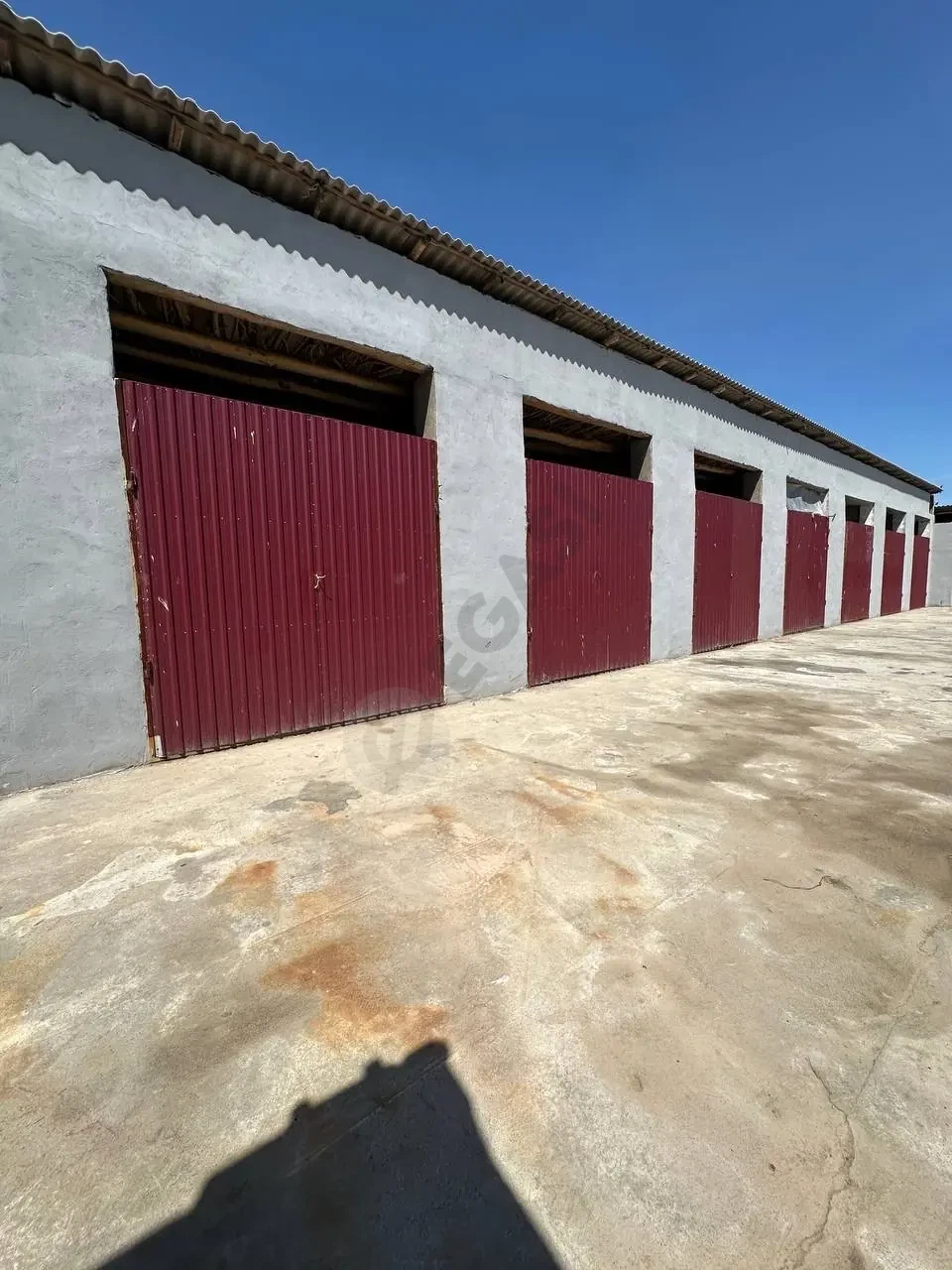 Image 6