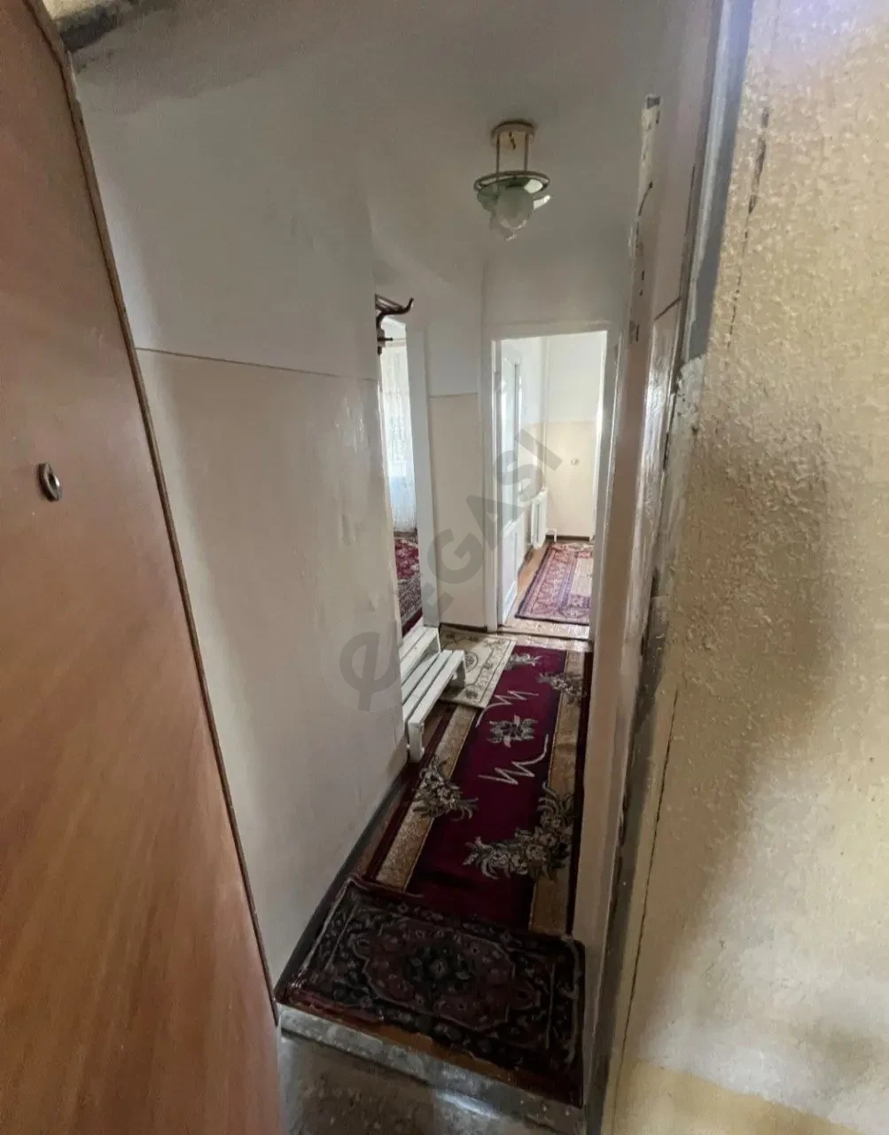 Image 8