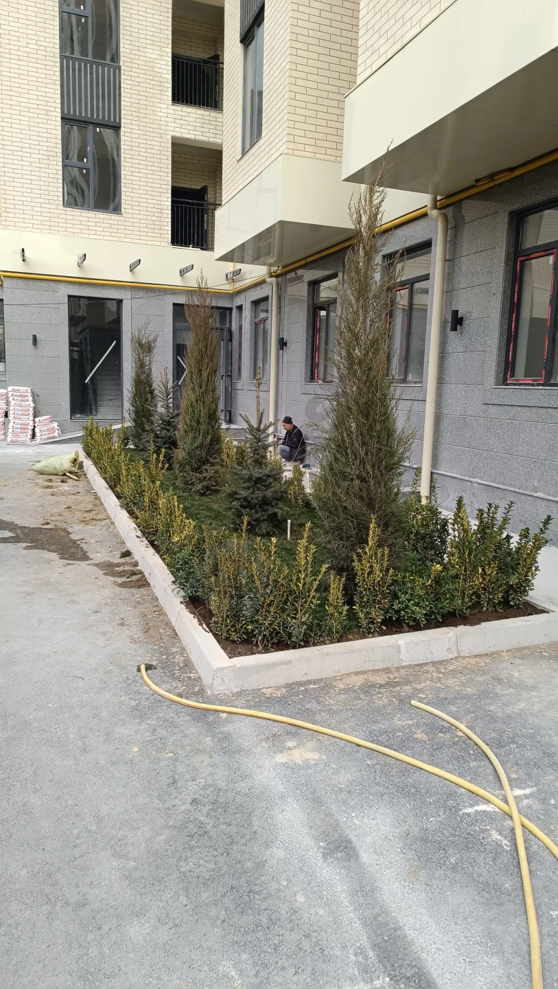 Image 8