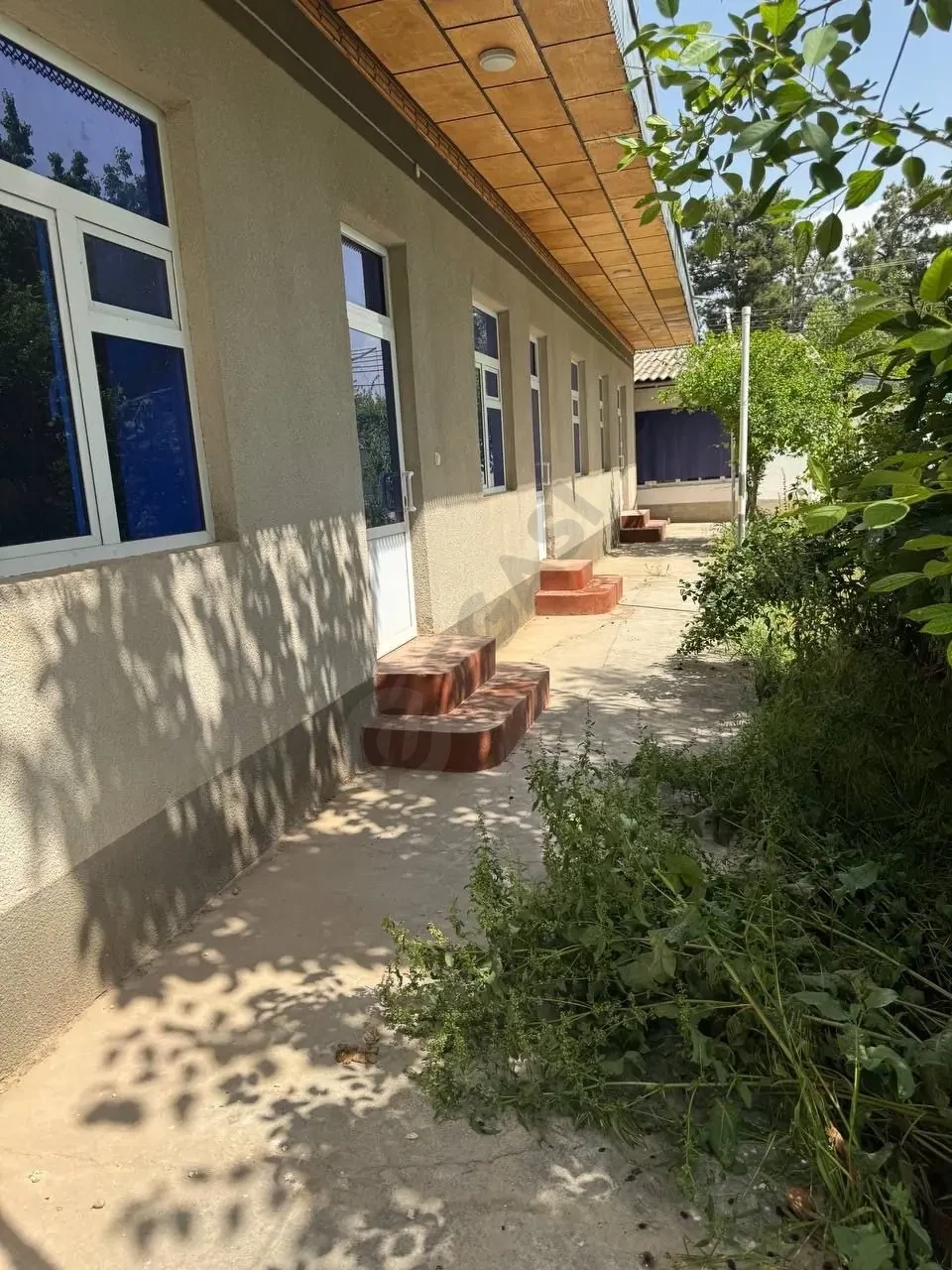 Image 6