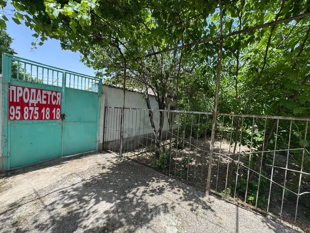 Image 10