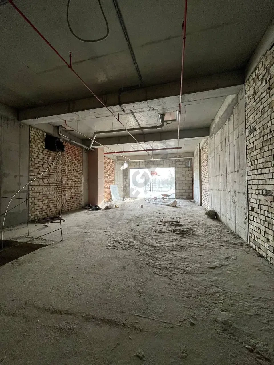 Image 6