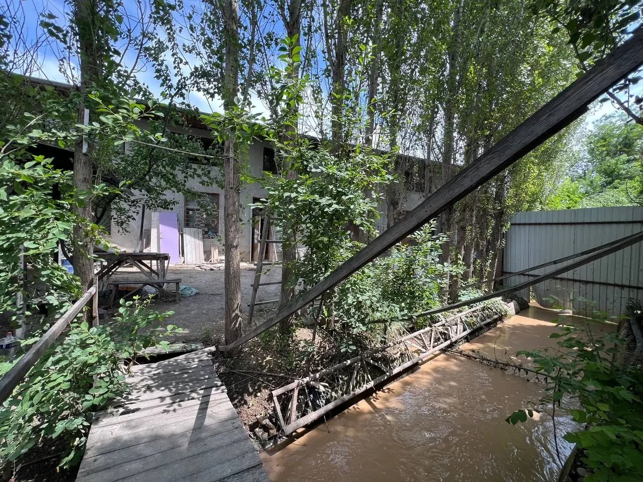 Image 5