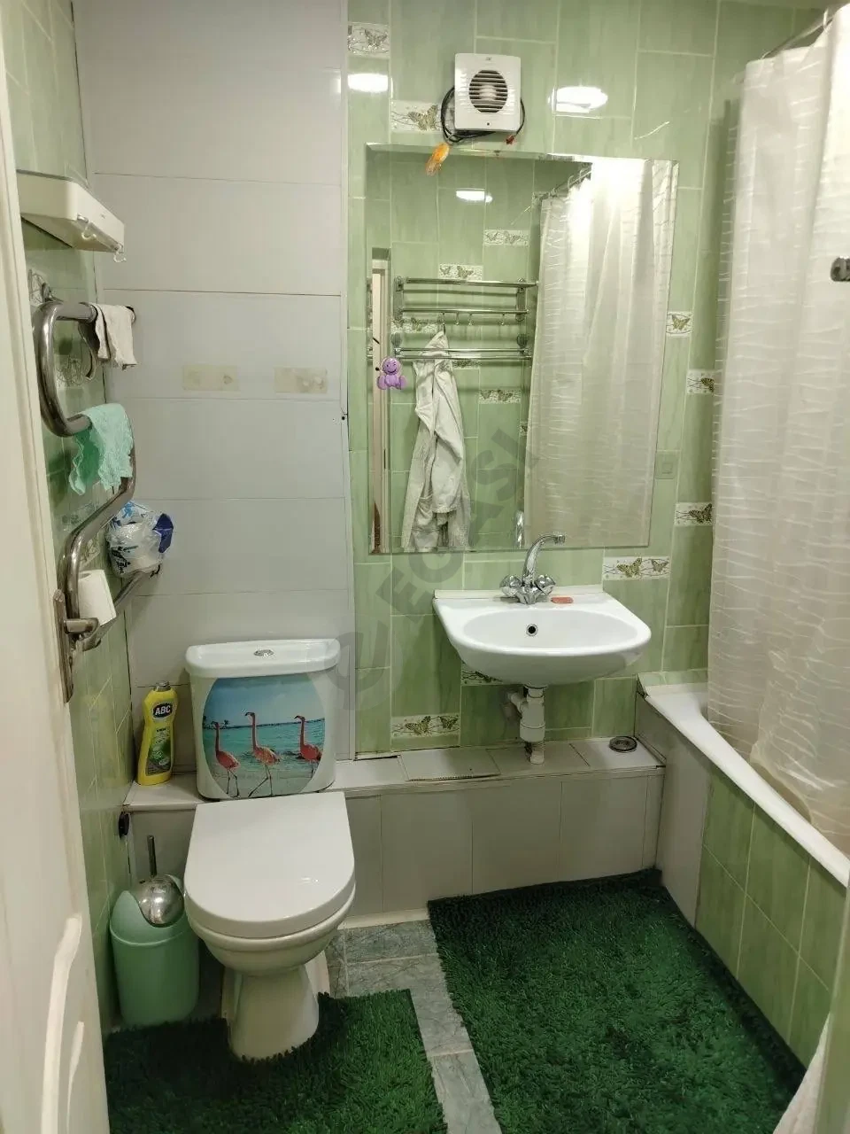 Image 6