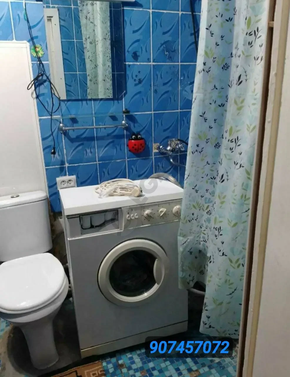 Image 5