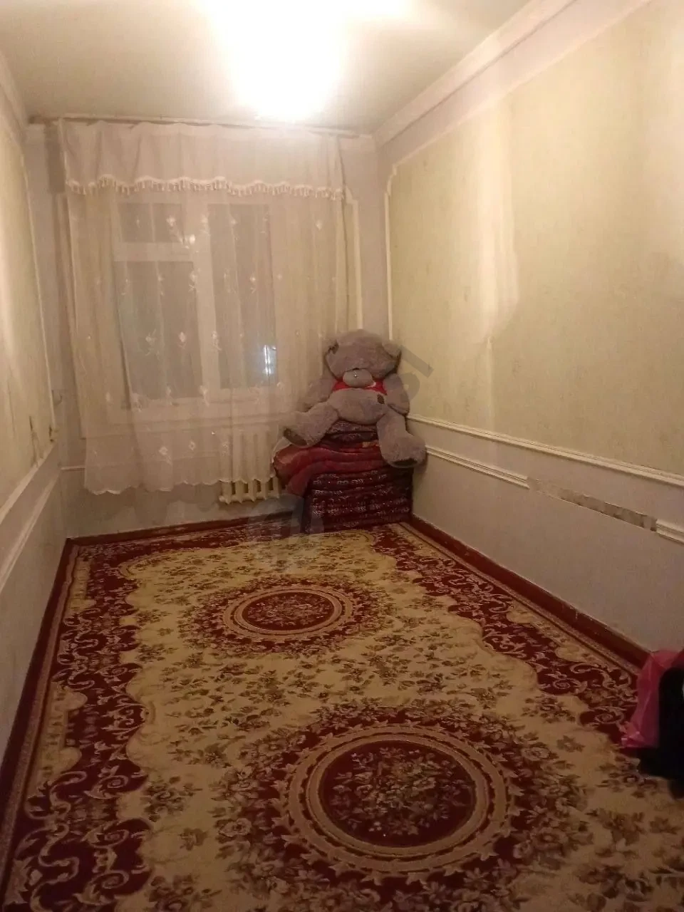 Image 7