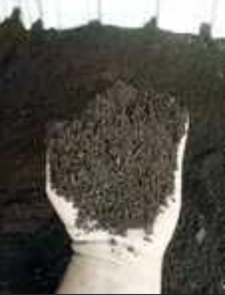 Advertisement - Cover Photo
