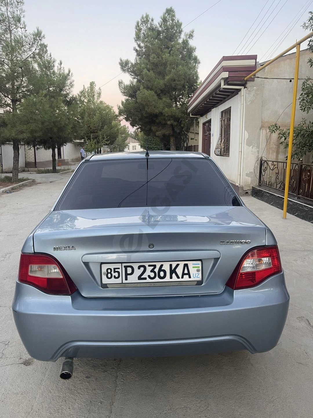 Image 4