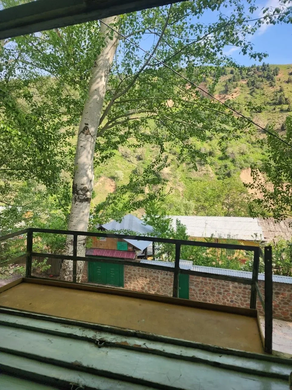Image 8
