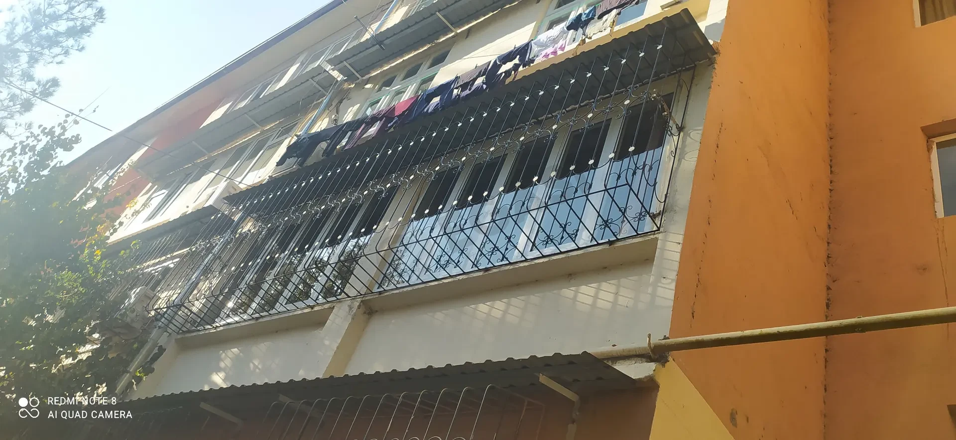 Image 6