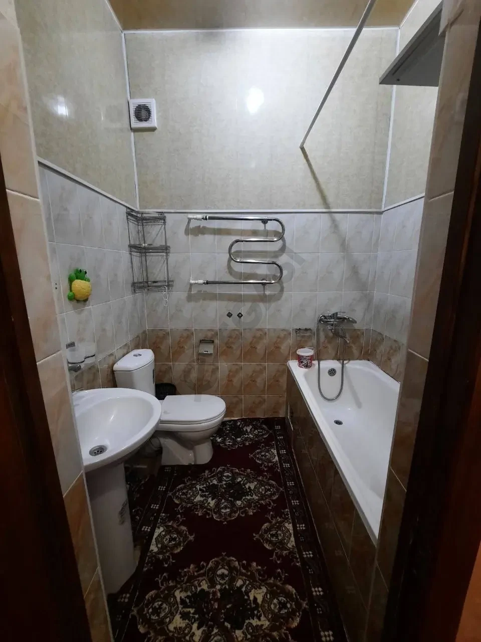 Image 7