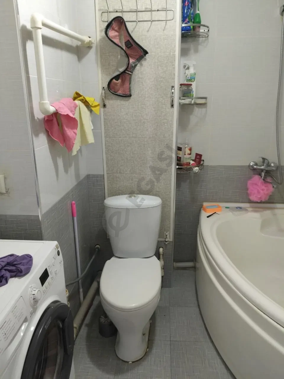 Image 7