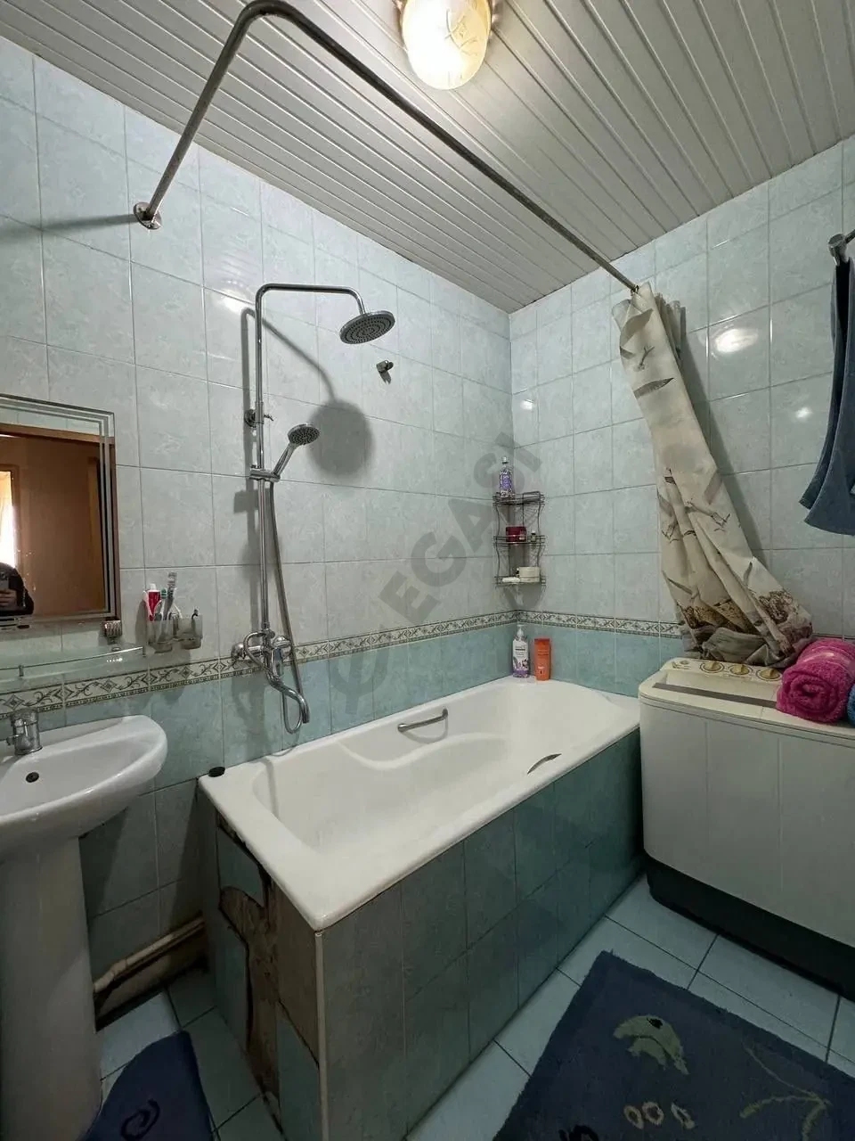 Image 8