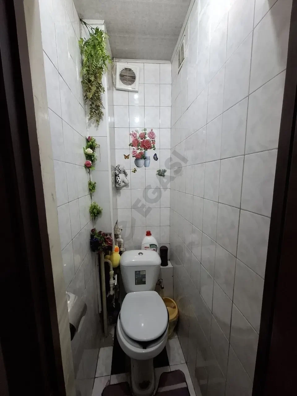 Image 9