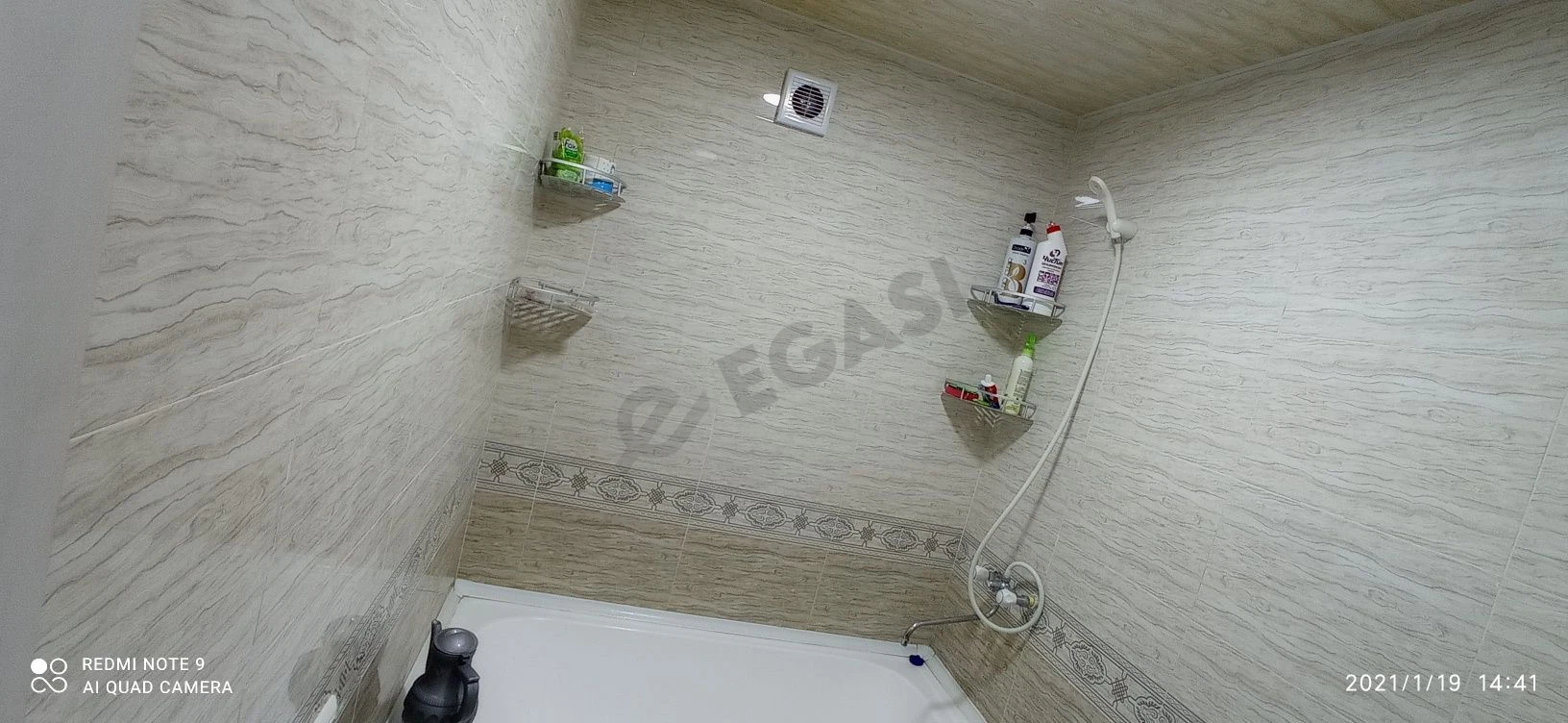 Image 8