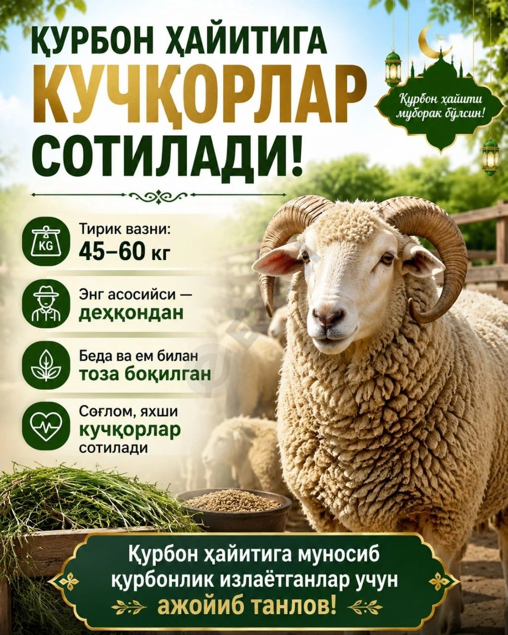 Advertisement - Cover Photo