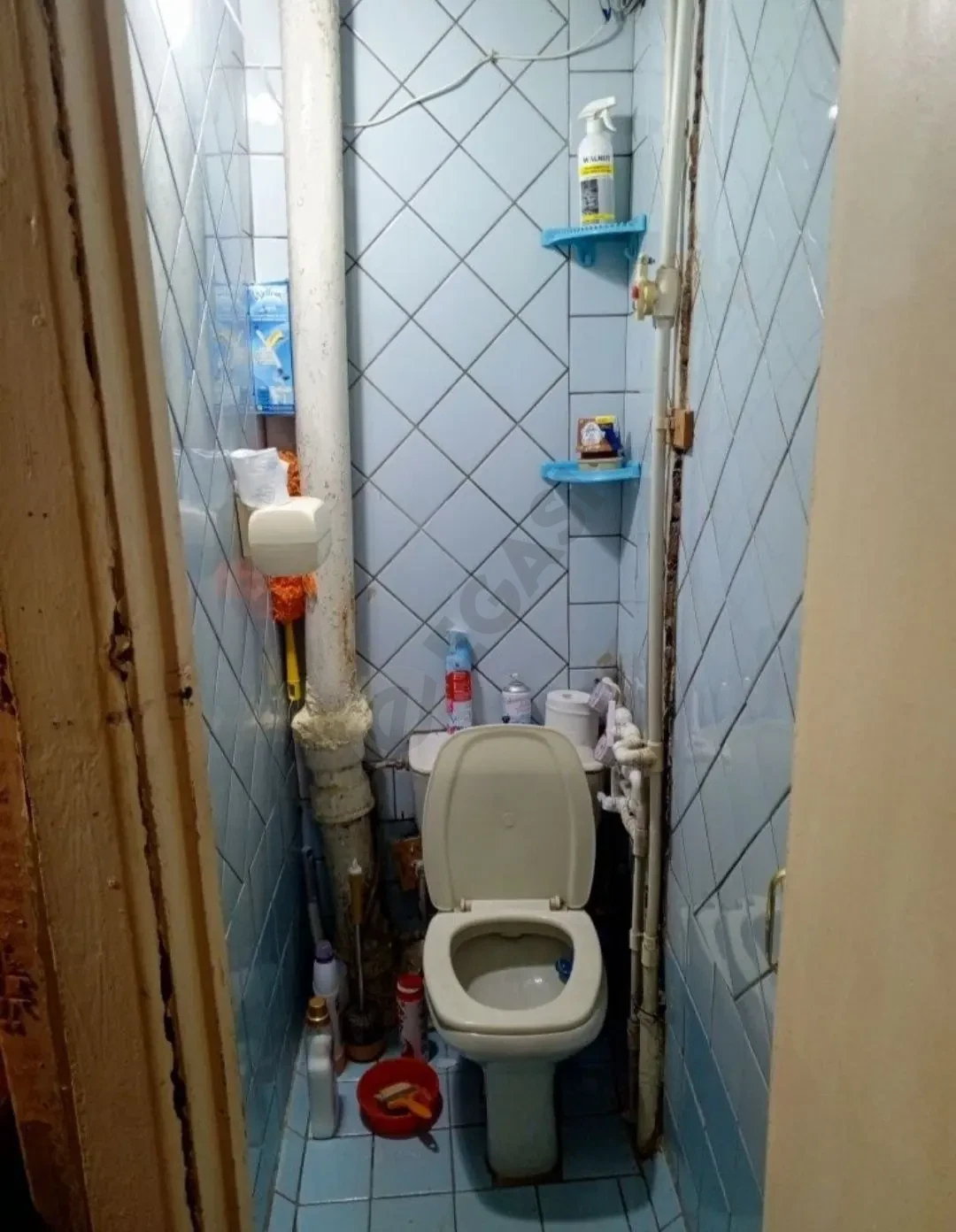 Image 7