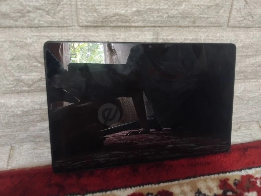 Image 4