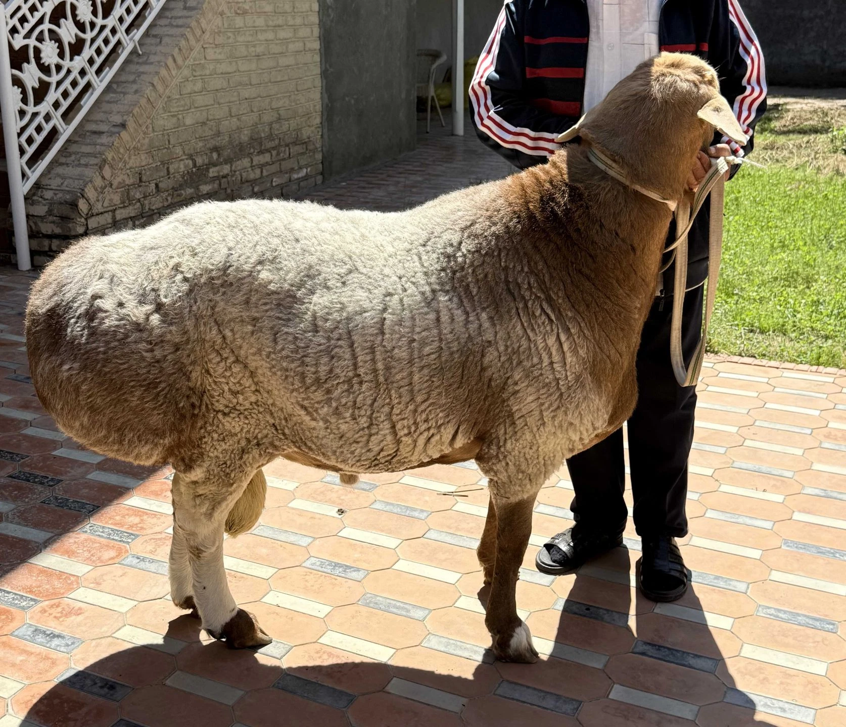 Image 2