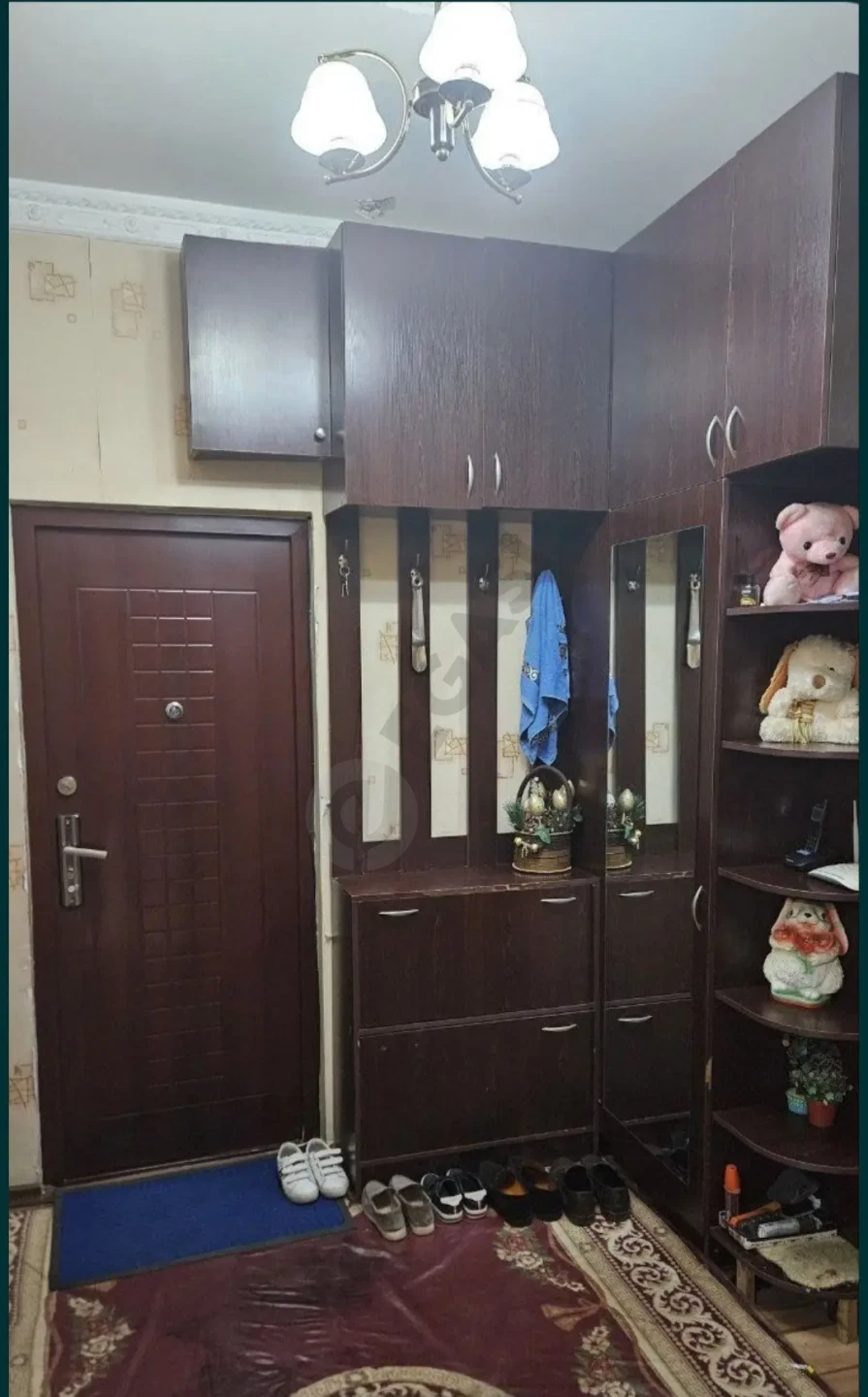 Image 7