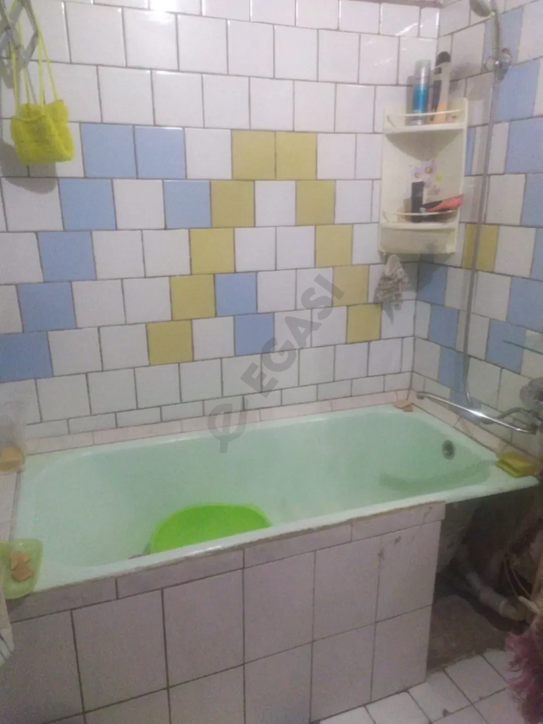 Image 8