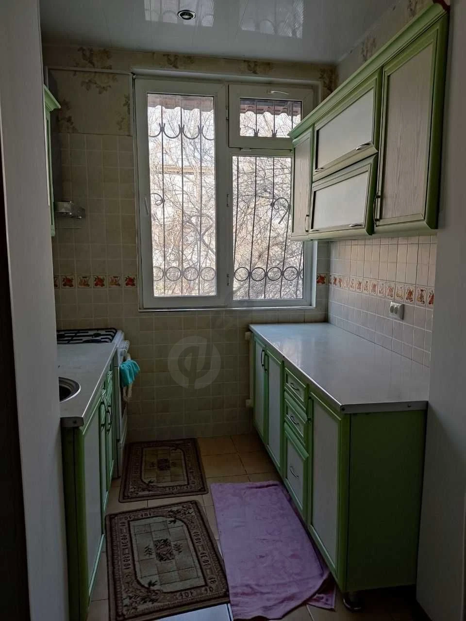 Image 6