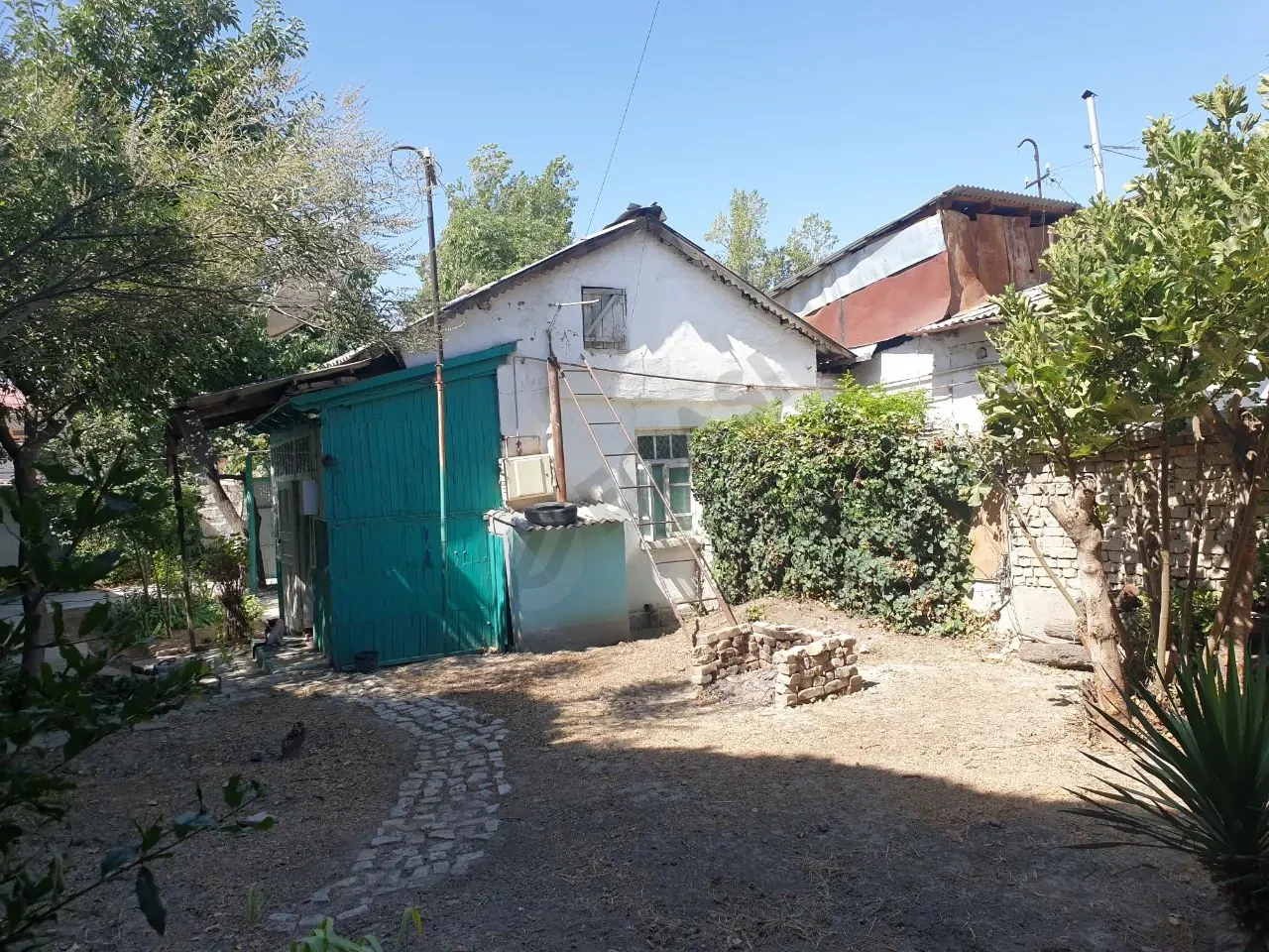Image 9