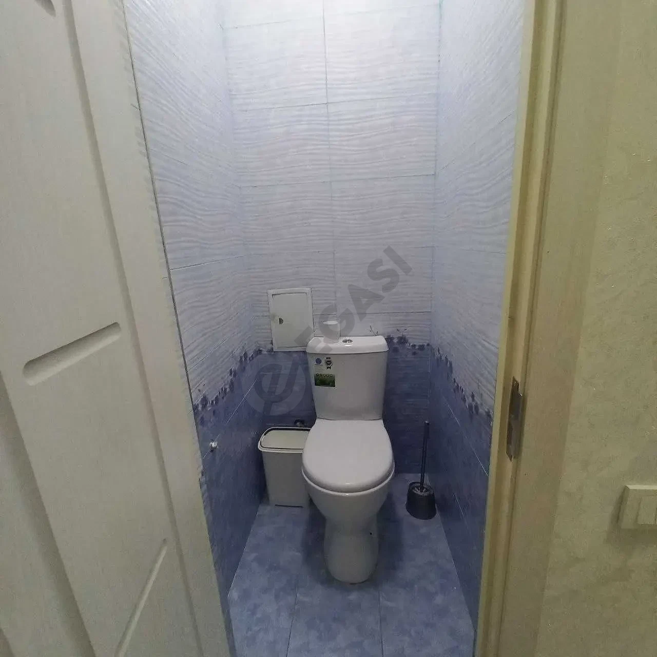 Image 5