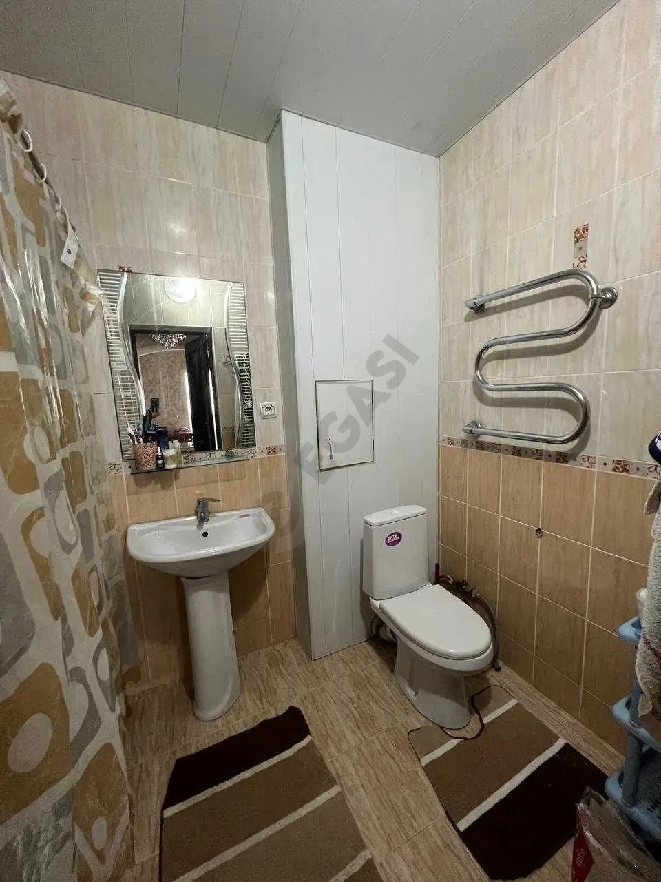 Image 7