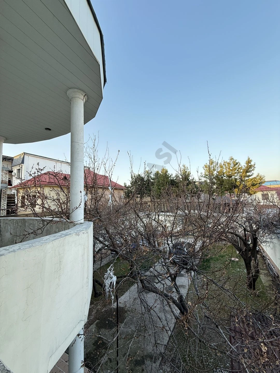 Image 6