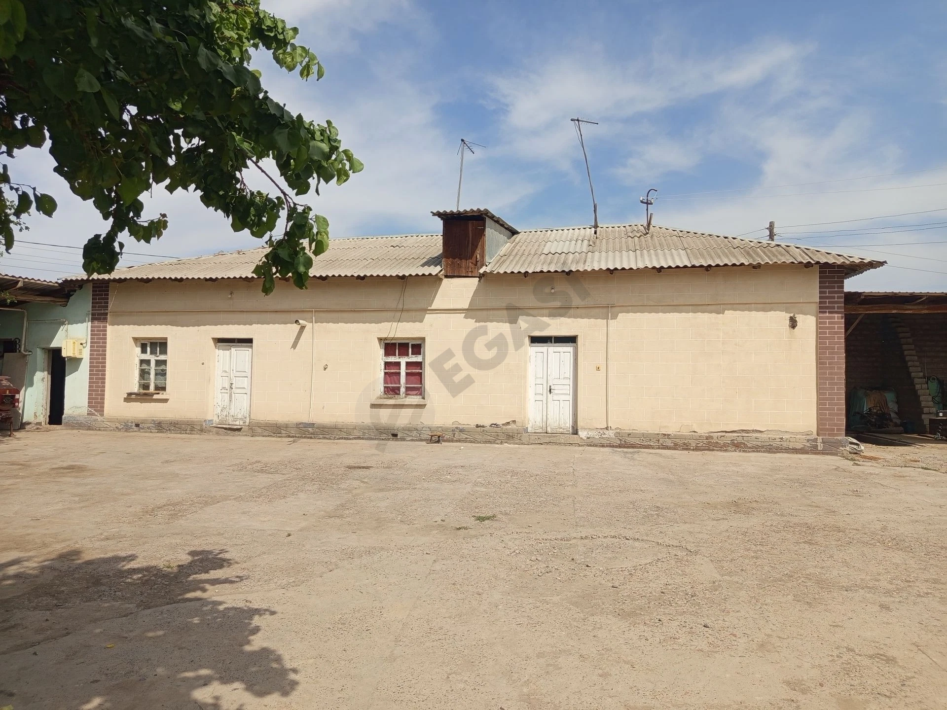 Image 12