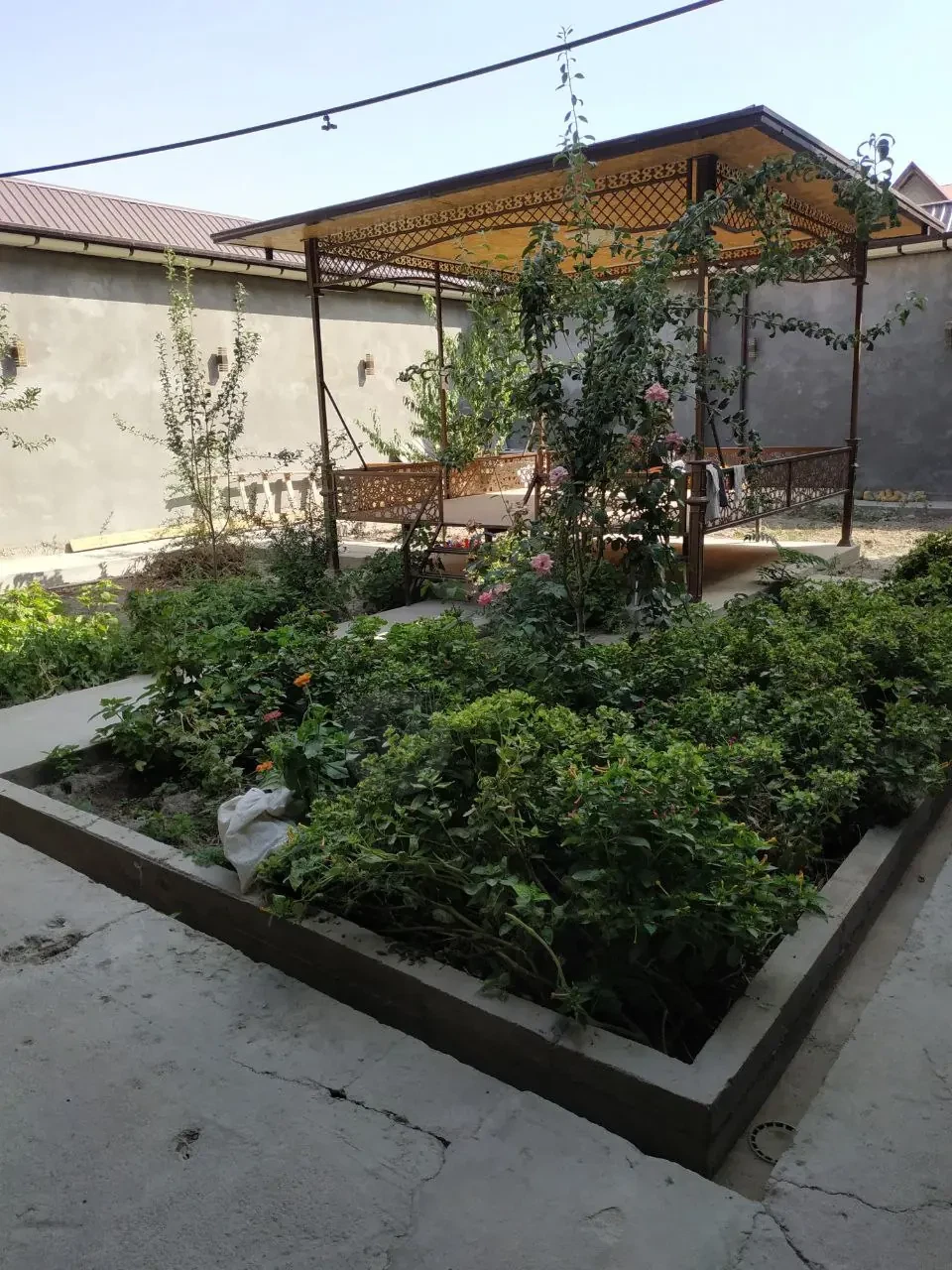Image 4