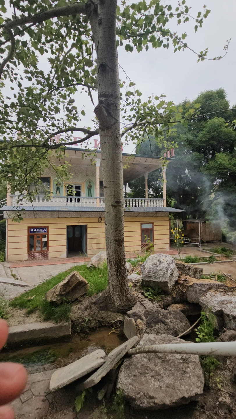 RESTARAN DACHA CHOYXONA DAM OLISH MASKANI - Cover Photo